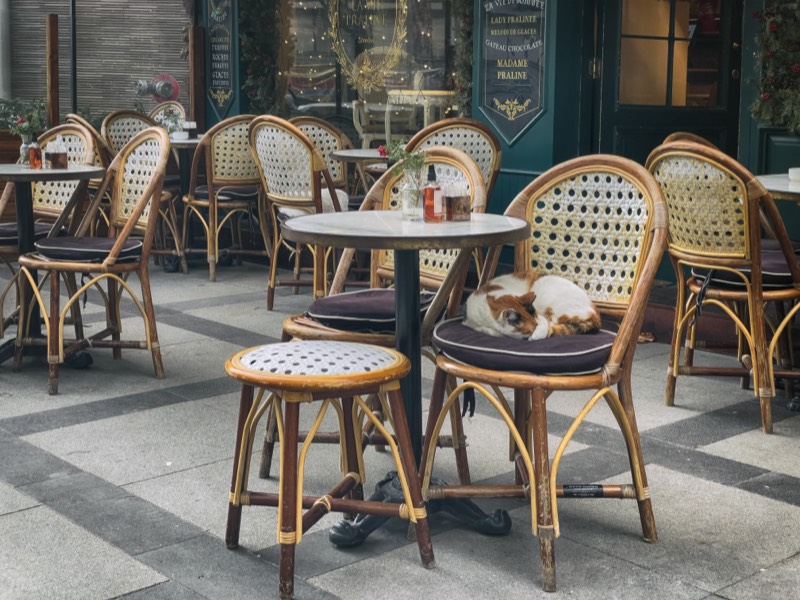 A cat naps on a chair cushion at a quiet café patio, surrounded by empty rattan tables and chairs.