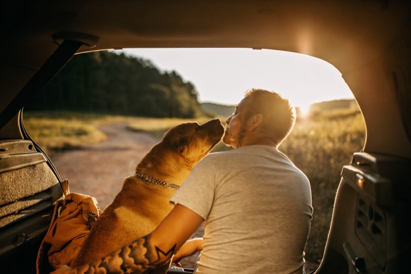 A dog leans in for a nose-to-nose moment with its person from the open trunk of an SUV, parked on a dirt road at golden-hour sunset.